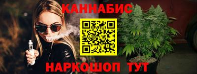 индика Донецк