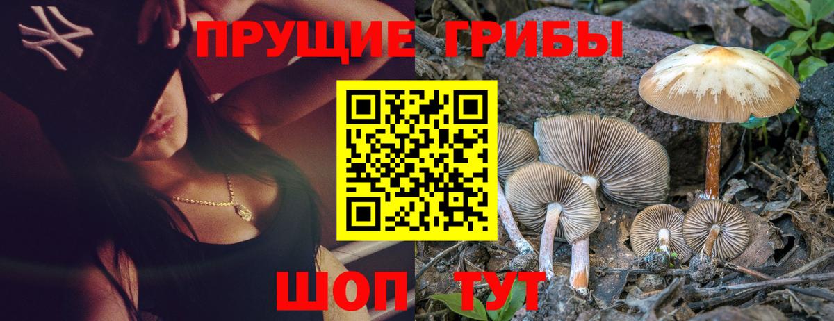 Менделеевск  Псилоцибиновые грибы мухоморы  Вход с VPN 